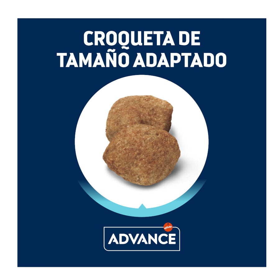 12 kg Advance Maxi Light Pollo y Arroz pienso para perros, , large Imagen numero 3