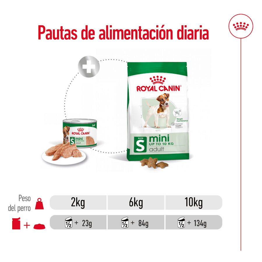 195 g Royal Canin Mini Adult Pat&eacute; lata para perros, , large Imagen numero 7