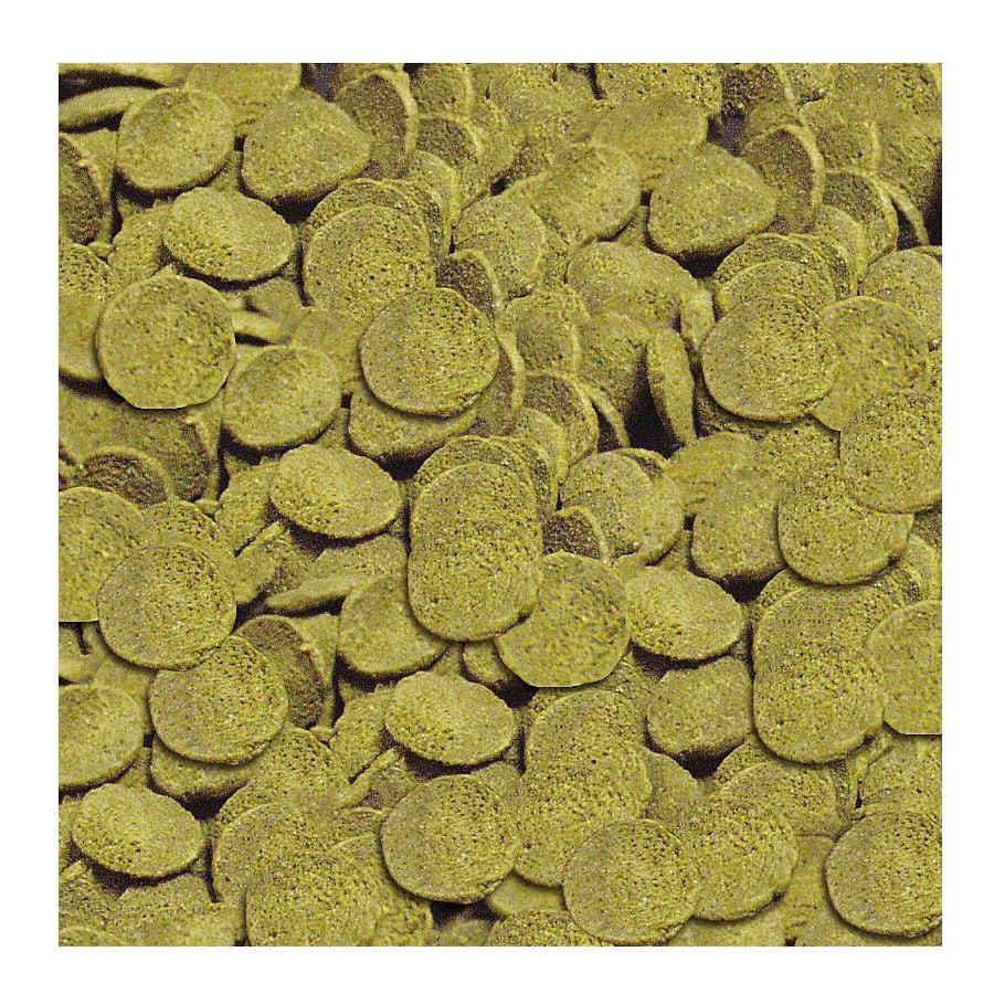 Sera Wels-chips alimento para peces, , large Imagen numero 2