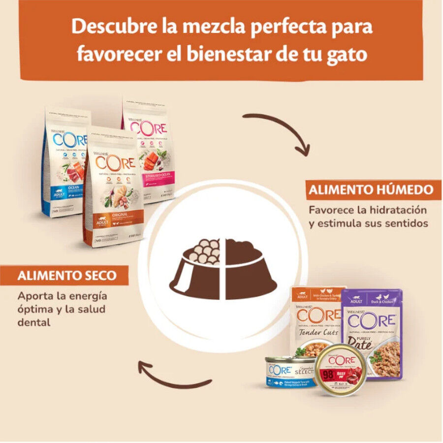 79 g Wellness Core Chunky pollo y pavo lata para gatos, , large Imagen numero 4