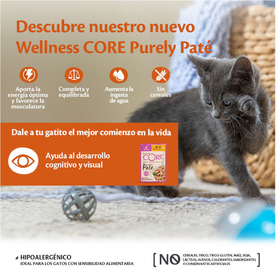 85 g Wellness Core Kitten Pollo en Pat&eacute; sobre para gatos&nbsp;, , large Imagen numero 3
