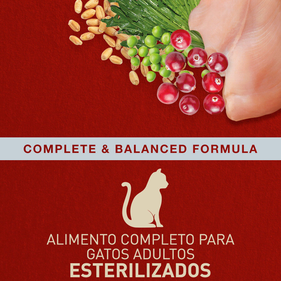 2.5 kg Catxtreme Adult Indoor Sterilised Pollo pienso para gatos, , large Imagen numero 3