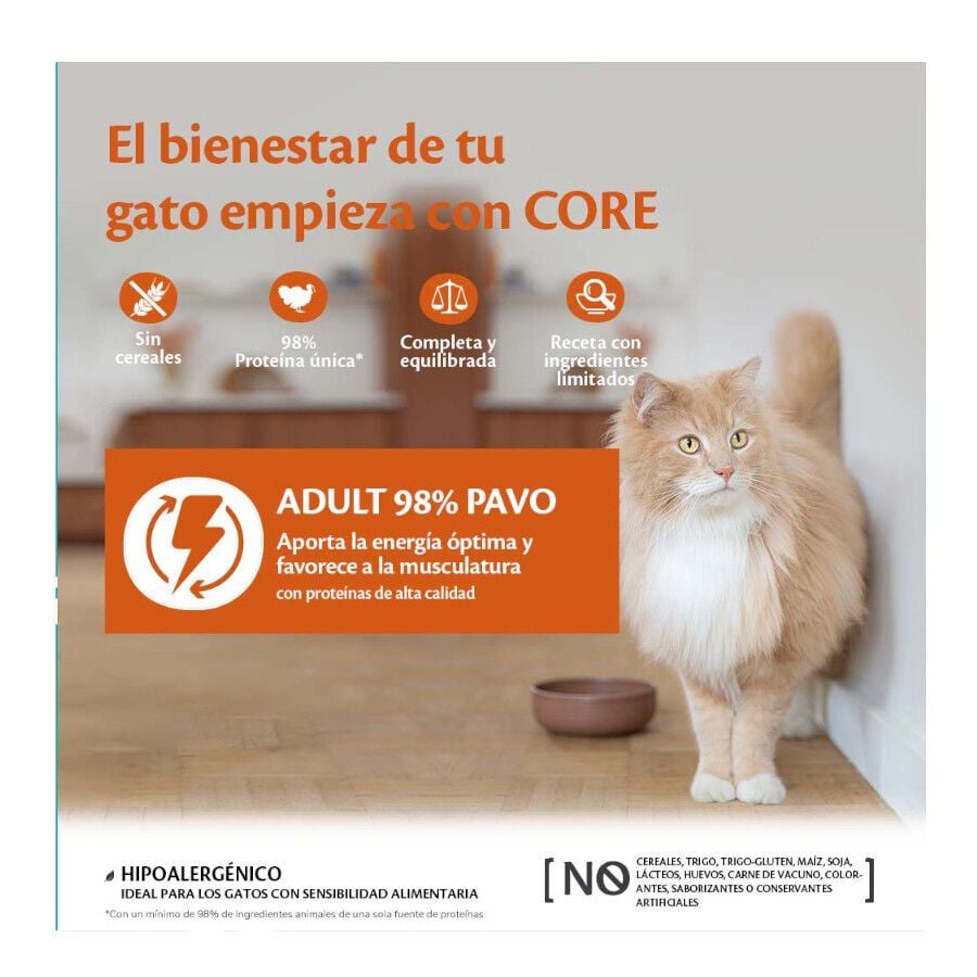85 g Wellness Core Duo Protein Salm&oacute;n y Pollo tarrina para gatos, , large indicador imagen numero 2