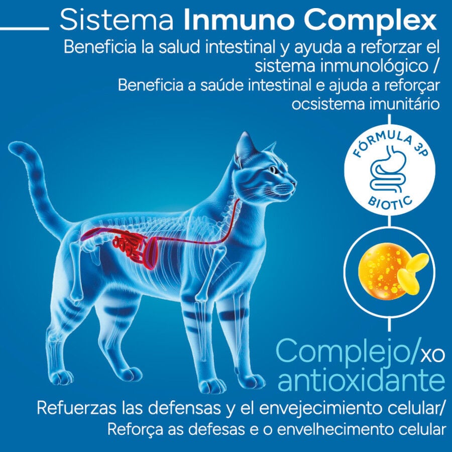 2 kg Criadores Cient&iacute;fico Adulto Pollo pienso para gatos, , large Imagen numero 3