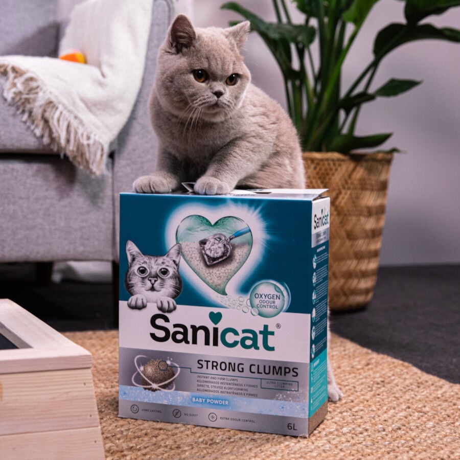 10 L Sanicat Strong Clumps Arena Aglomerante perfumada para gatos, , large Imagen numero 3