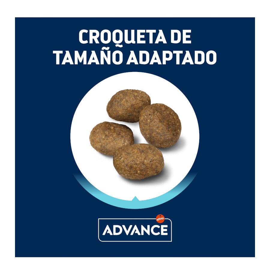 12 kg Advance Active Defense Sensitive Cordero y Arroz pienso para perros, , large Imagen numero 3