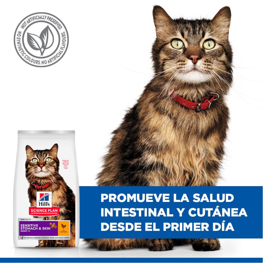 1.5 kg Hill's Adult Science Plan Sensitive Stomach Pollo pienso para gatos, , large indicador imagen numero 6