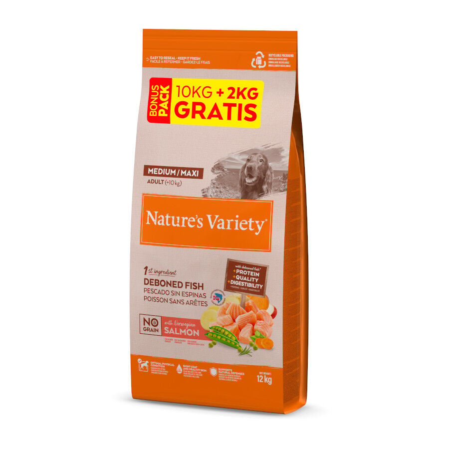 12 kg (10 + 2 kg &iexcl;gratis!) Nature's Variety No Grain Adult Medium Maxi Salm&oacute;n pienso para perros, , large Imagen numero 1