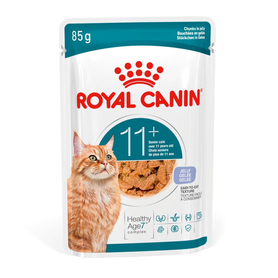 85 g Royal Canin Ageing +11 Comida H&uacute;meda en Gelatina para gatos senior&nbsp;, , large Imagen numero 1