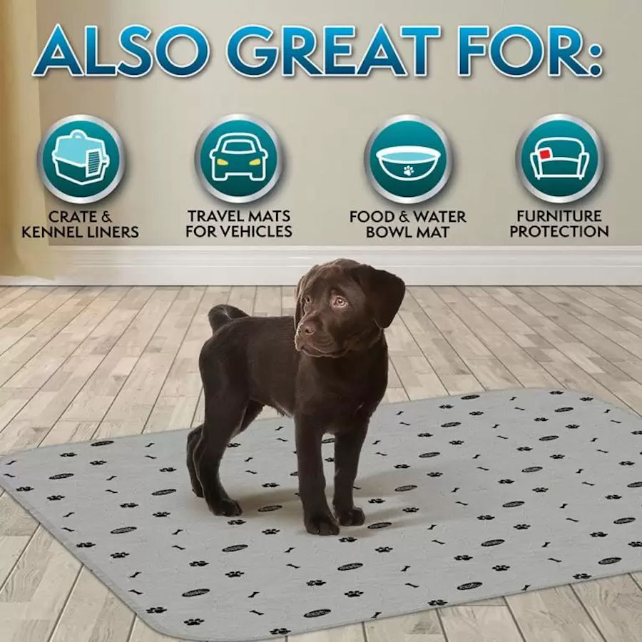 Simple Solution Alfombrillas Lavables para perros &ndash; Pack 2, , large indicador imagen numero 3
