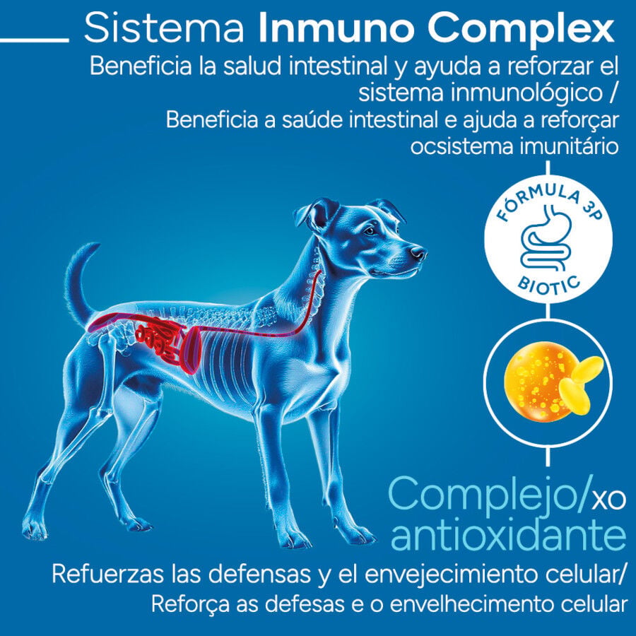 3 kg Criadores Cient&iacute;fico Senior Sensitive Mini Pienso Salm&oacute;n para perros, , large indicador imagen numero 3