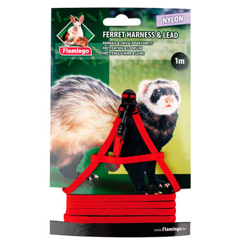 Flamingo Arn&eacute;s con Correa Rojo para hurones