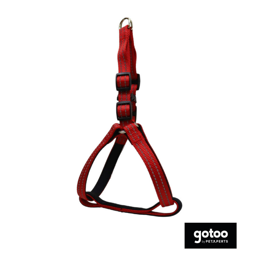 Gotoo Arn&eacute;s reflectante de neopreno rojo para perros, , large indicador imagen numero 2