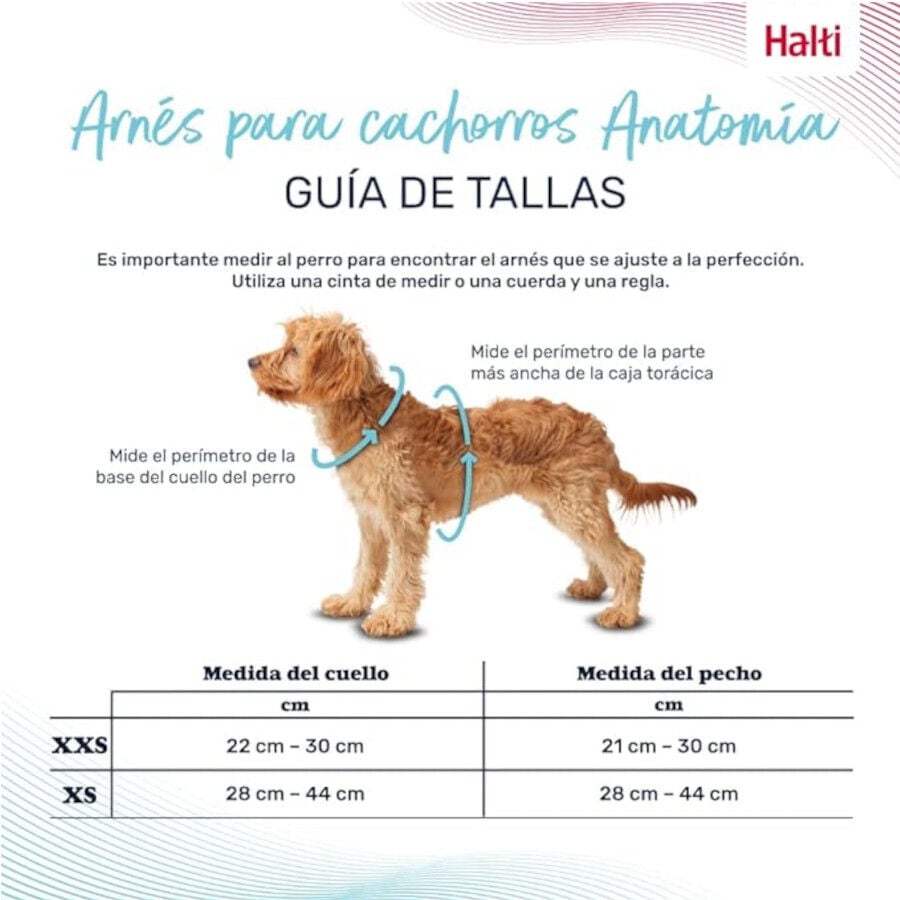 Halti arn&eacute;s anat&oacute;mico para cachorros y perros peque&ntilde;os, , large Imagen numero 2