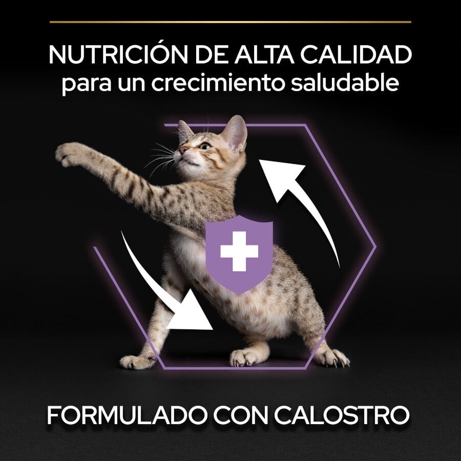 3 kg Pro Plan Kitten Pollo pienso para gatos&nbsp;, , large Imagen numero 6