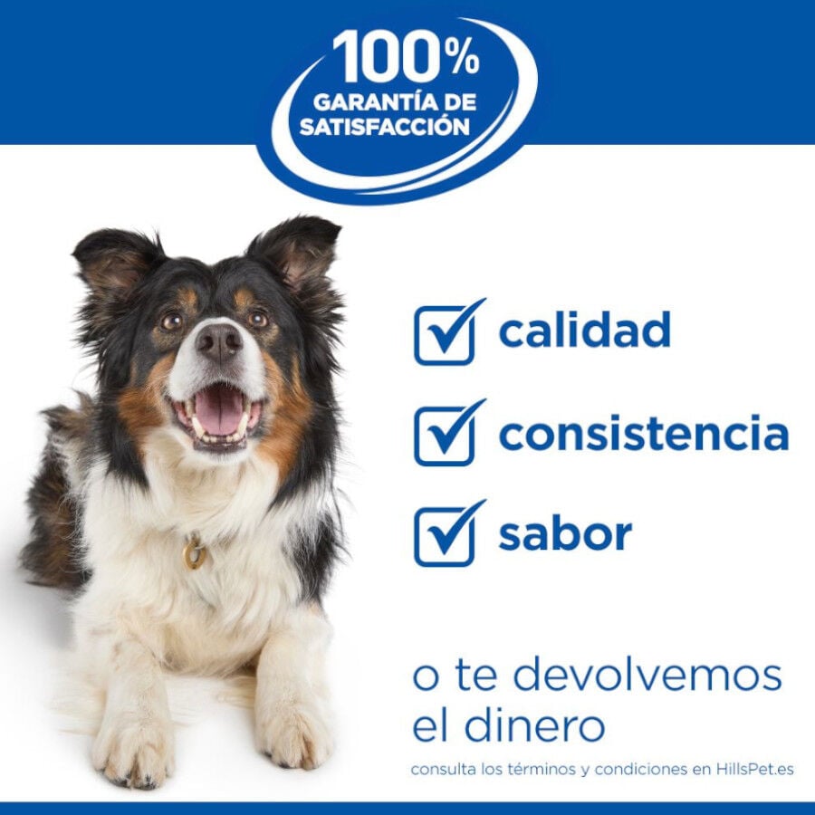 12 kg Hill's Science Plan Perfect Weight Adult Large Pollo pienso para perros, , large indicador imagen numero 7