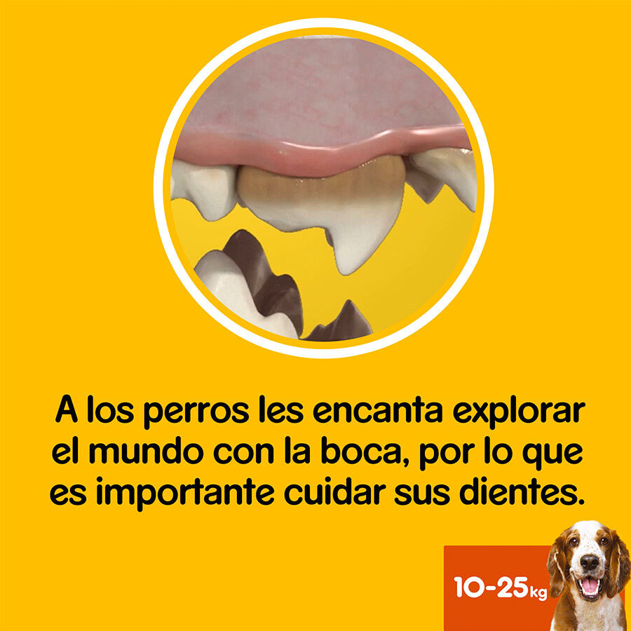 105 barritas Pedigree Dentastix Snacks Dentales para perros medianos, , large Imagen numero 5
