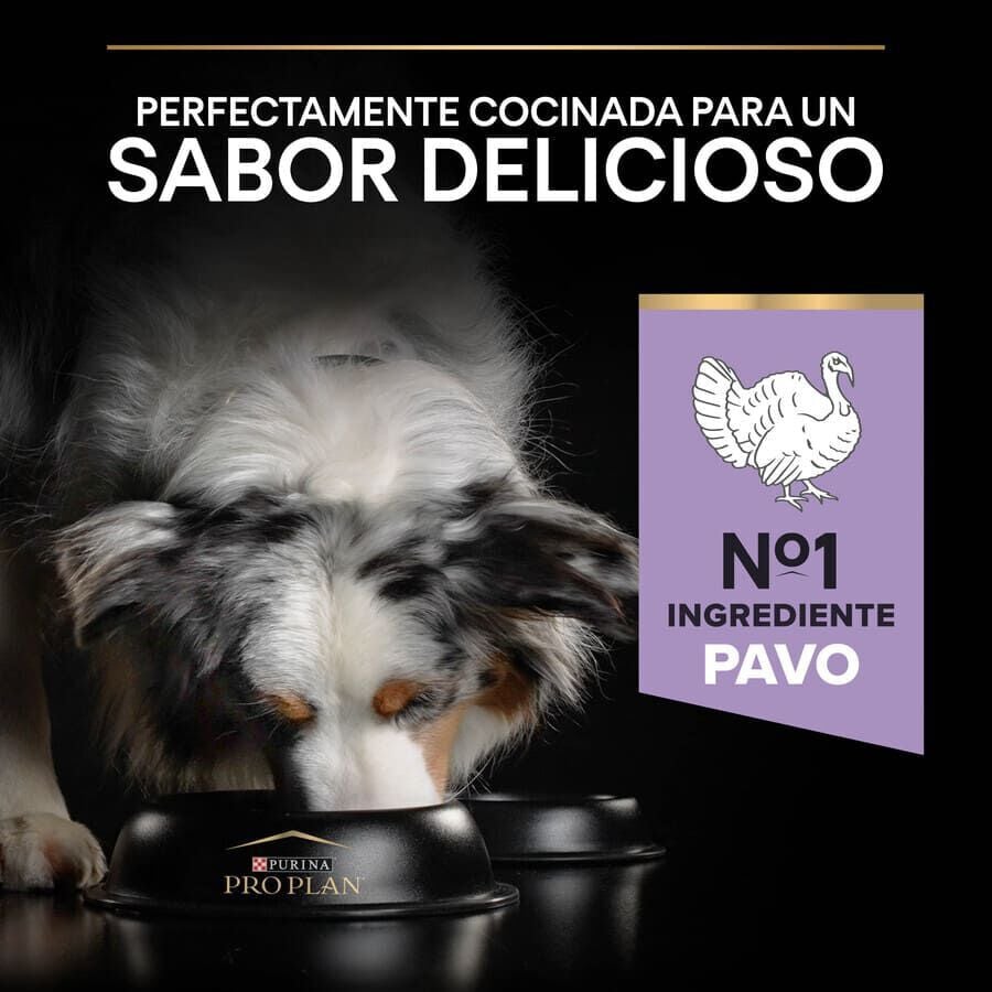 12 kg Pro Plan Adult Medium y Large Digesti&oacute;n Pavo pienso para perros, , large indicador imagen numero 7