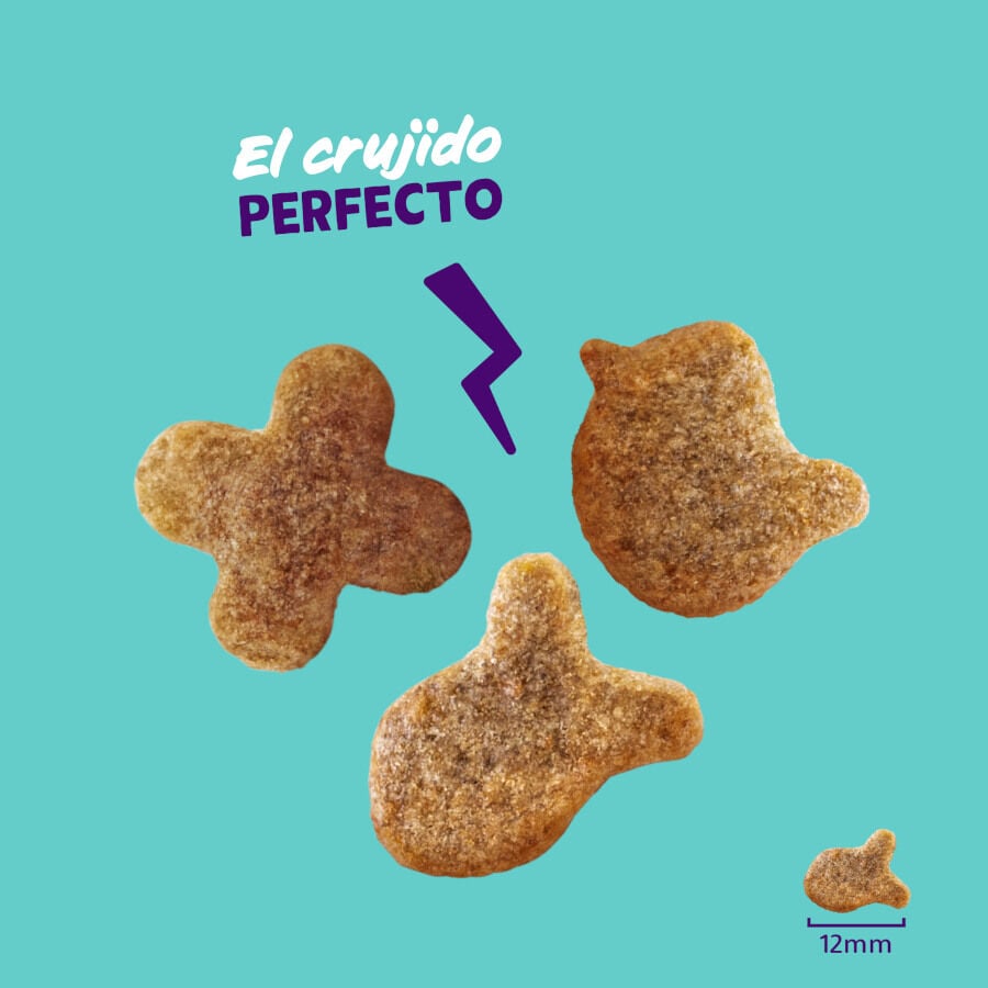 50 g Edgard & Cooper Galletas Crunchies Pollo para gatos, , large indicador imagen numero 3