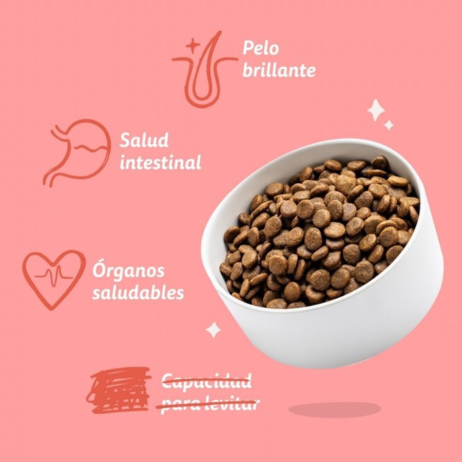 12 kg Edgard & Cooper Senior Salm&oacute;n Noruego y Pollo pienso para perros grandes, , large indicador imagen numero 6