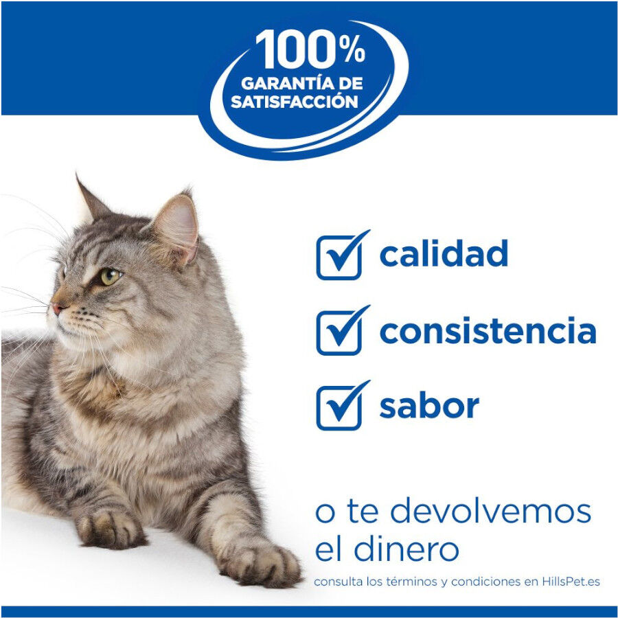 7 kg Hill's Science Plan Perfect Weight Adult pollo pienso para gatos, , large Imagen numero 8