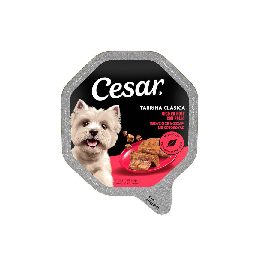 28 tarrinas x 150 g (20 + 8 tarrinas &iexcl;gratis!) Cesar Buey Tarrina en Pat&eacute; para Perros, , large indicador imagen numero 2
