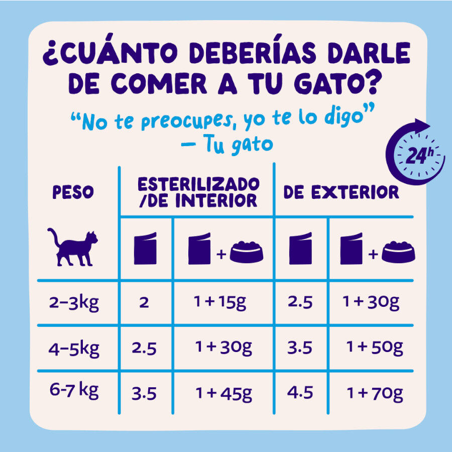12 x 85 g Edgard & Cooper Selecci&oacute;n Captura del D&iacute;a sobre en salsa para gatos, , large indicador imagen numero 8