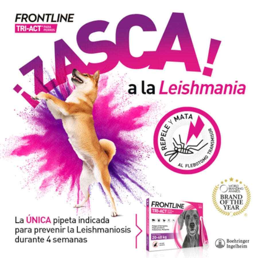 Frontline Tri-Act Pipetas Antiparasitarias para perros, , large indicador imagen numero 6