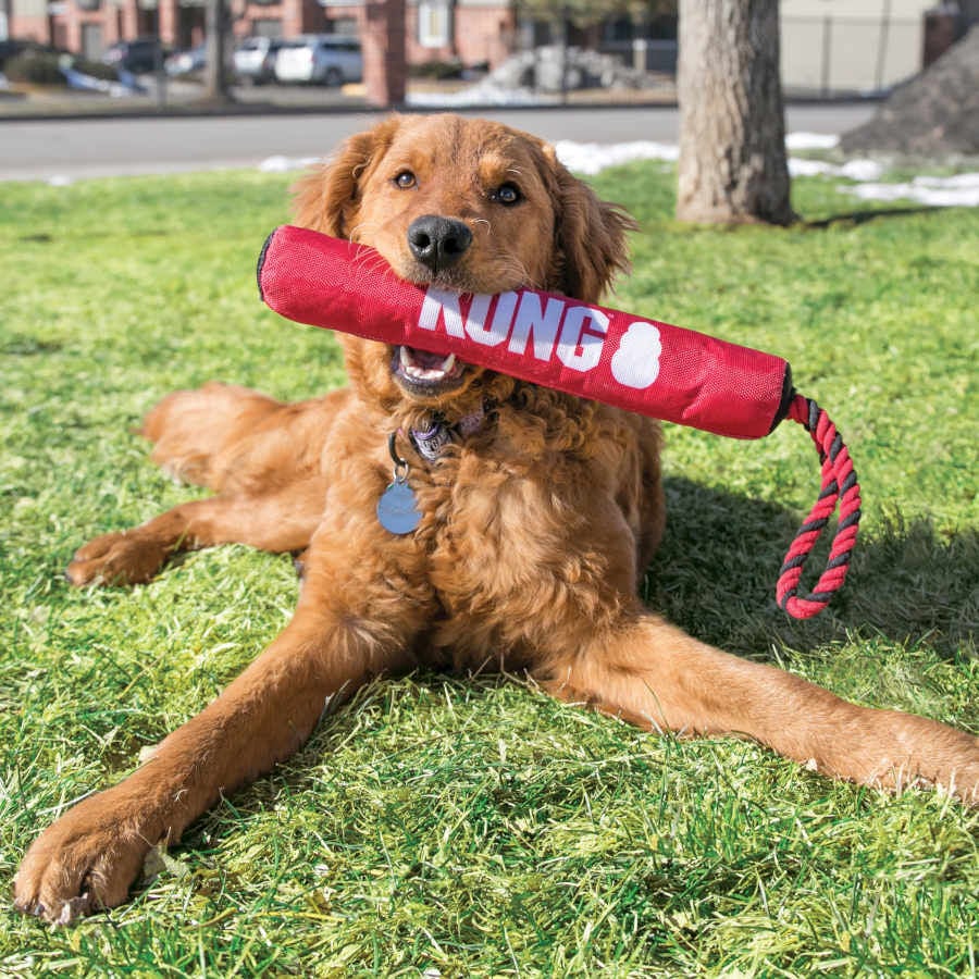 Kong Signature Palo con Cuerda para perros, , large indicador imagen numero 2