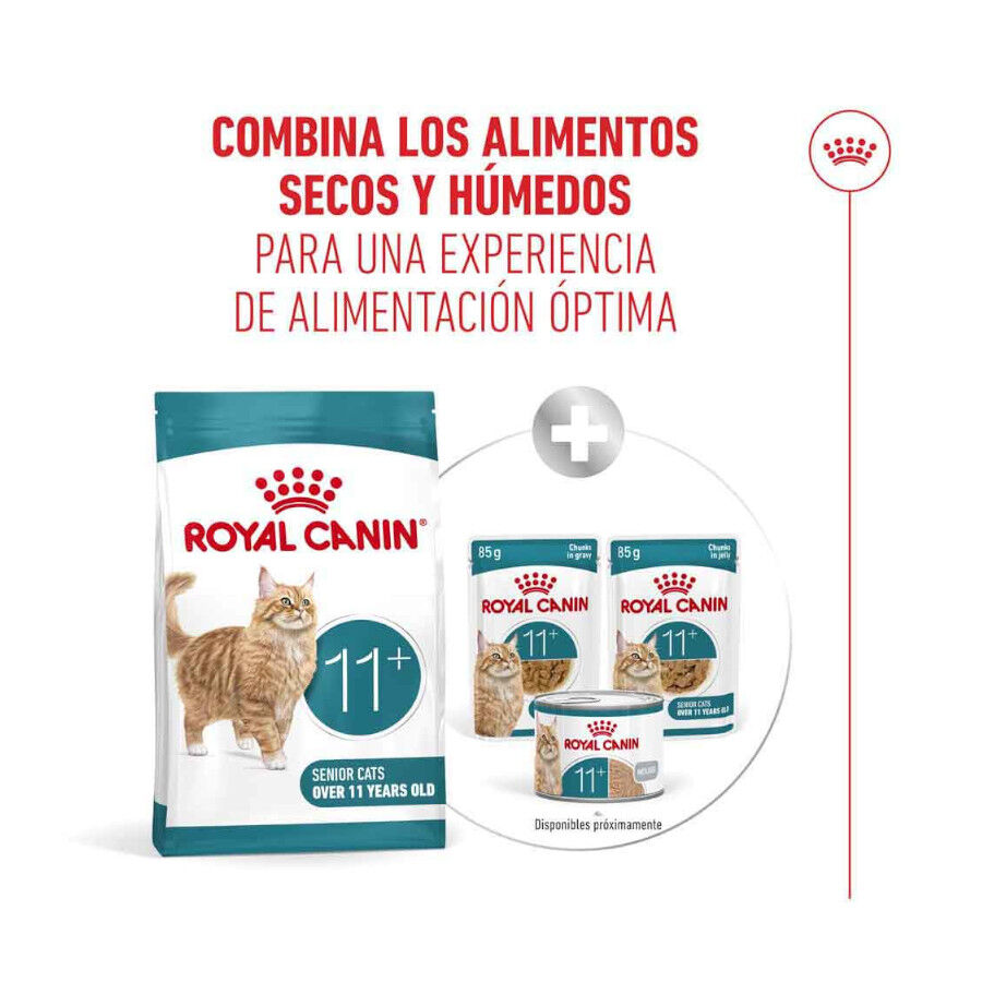 4 kg Royal Canin Ageing 11+ pienso para gatos&nbsp;senior, , large Imagen numero 12