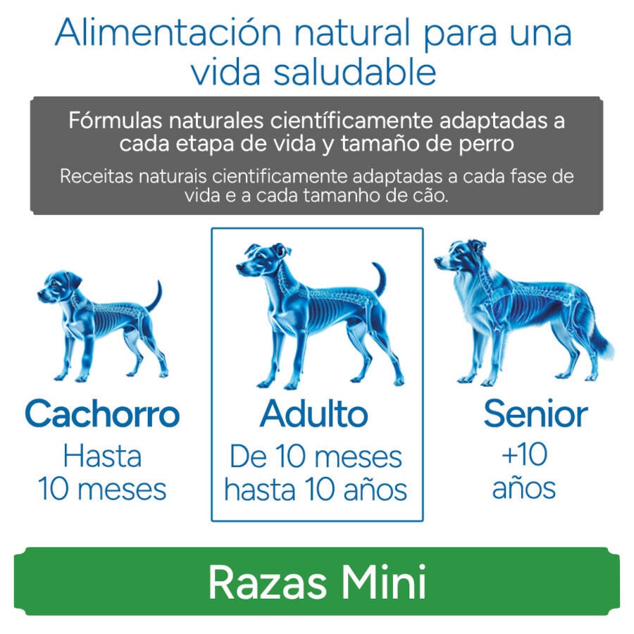 3 kg Criadores Cient&iacute;fico Adulto Mini Pienso Pollo para perros, , large indicador imagen numero 11