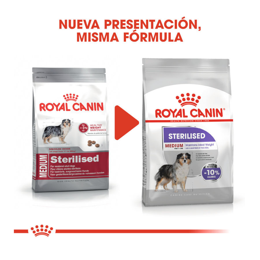 3 kg Royal Canin Sterilised Medium pienso para perros, , large indicador imagen numero 3