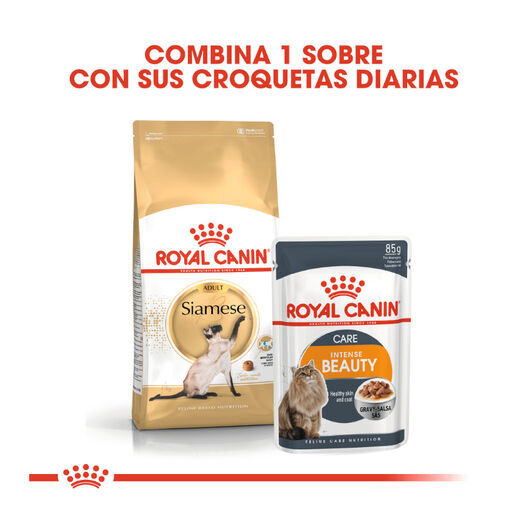 10 kg Royal Canin Adult Siamese pienso para gatos, , large indicador imagen numero 3