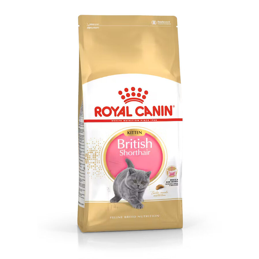 10 kg Royal Canin British Shorthair Kitten pienso para gatos, , large Imagen numero 1