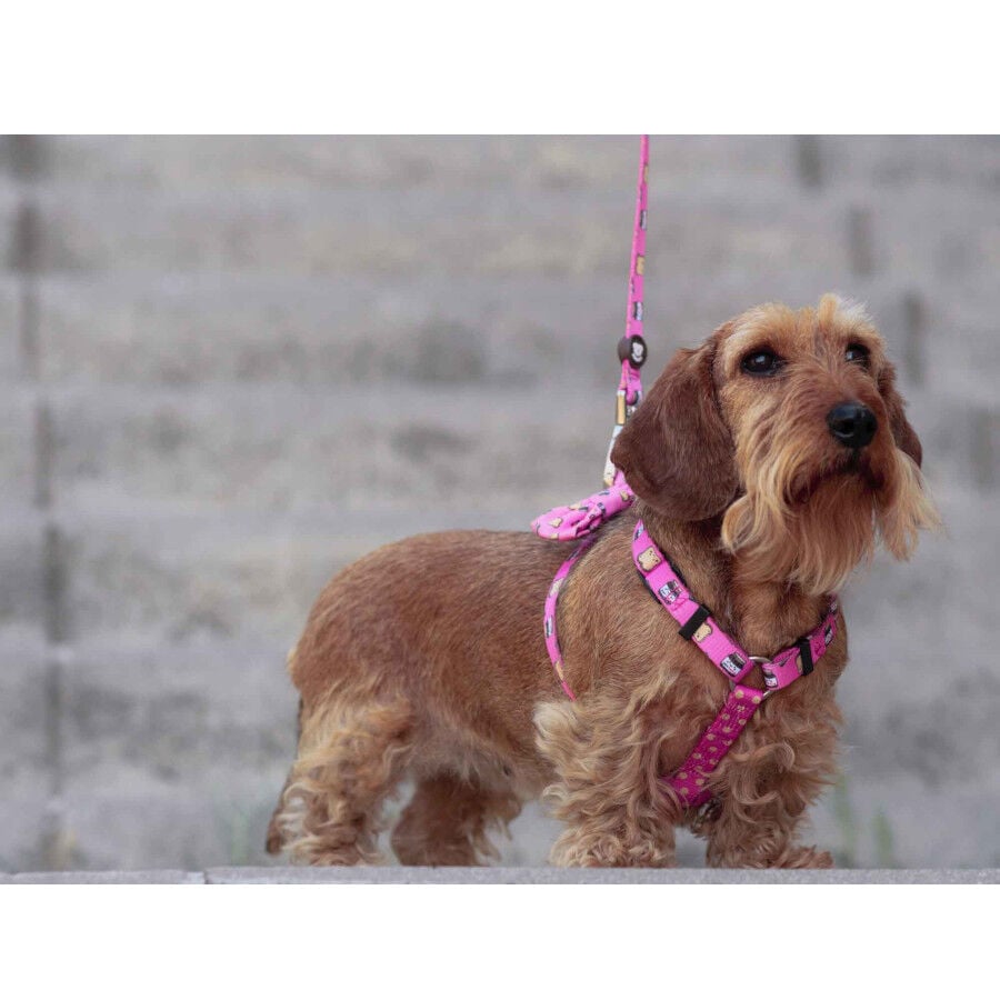 Dukier Dogtella Cl&aacute;sico Arn&eacute;s Estampado Nutella para perros, , large indicador imagen numero 3