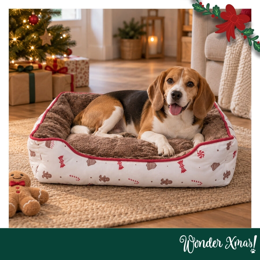 Wonder Christmas Cama Caramelo para perros, , large indicador imagen numero 2