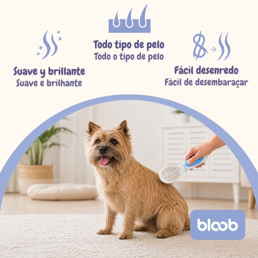 Bloob Cepillo P&uacute;as y Cerdas para perros, , large indicador imagen numero 3