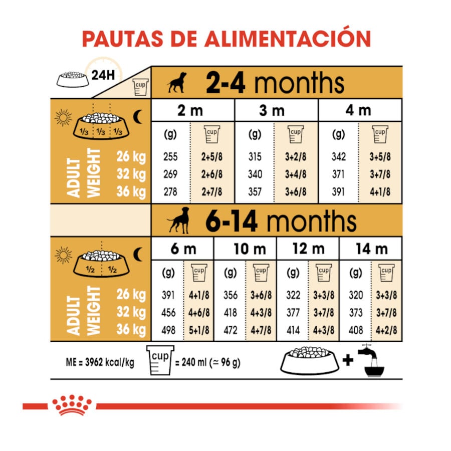 12 kg Royal Canin Puppy Boxer pienso para perros, , large indicador imagen numero 9