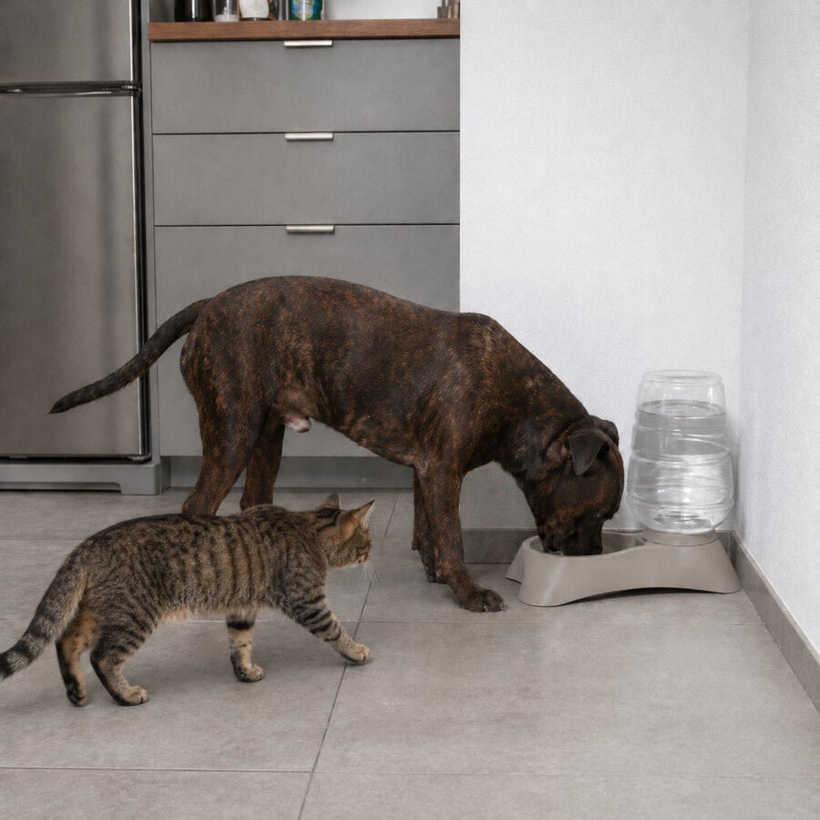 Leeby Tolva Dispensador de Agua para perros y gatos, , large indicador imagen numero 1