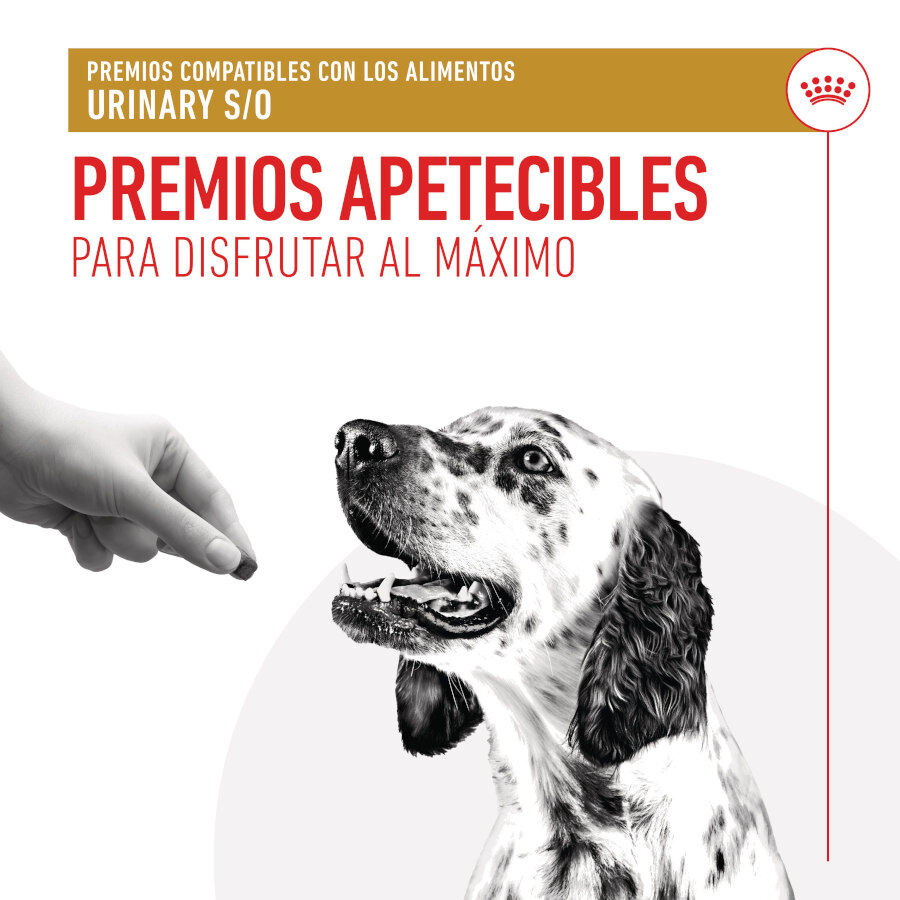 230 g Royal Canin Treats Urinary Snacks para perros, , large Imagen numero 6