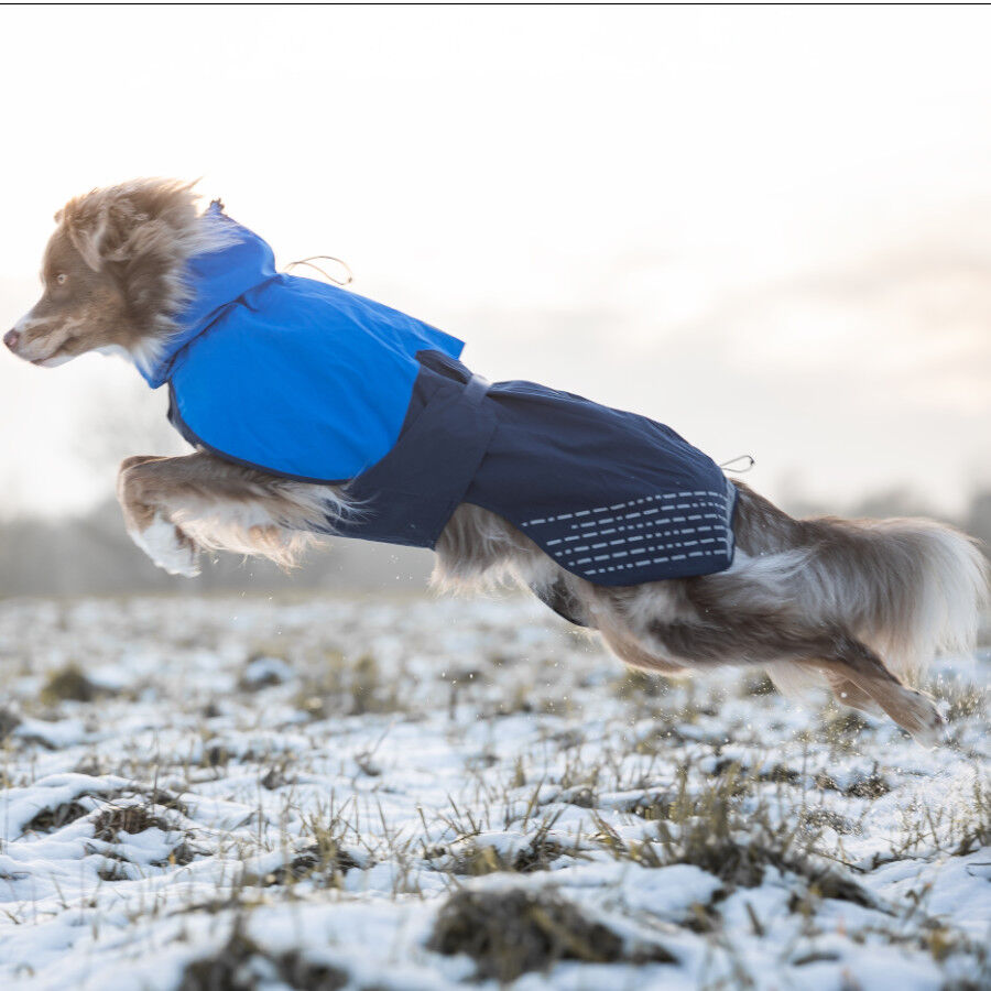 Non-stop dogwear Fjord Chubasquero Impermeable Azul para perros, , large Imagen numero 3