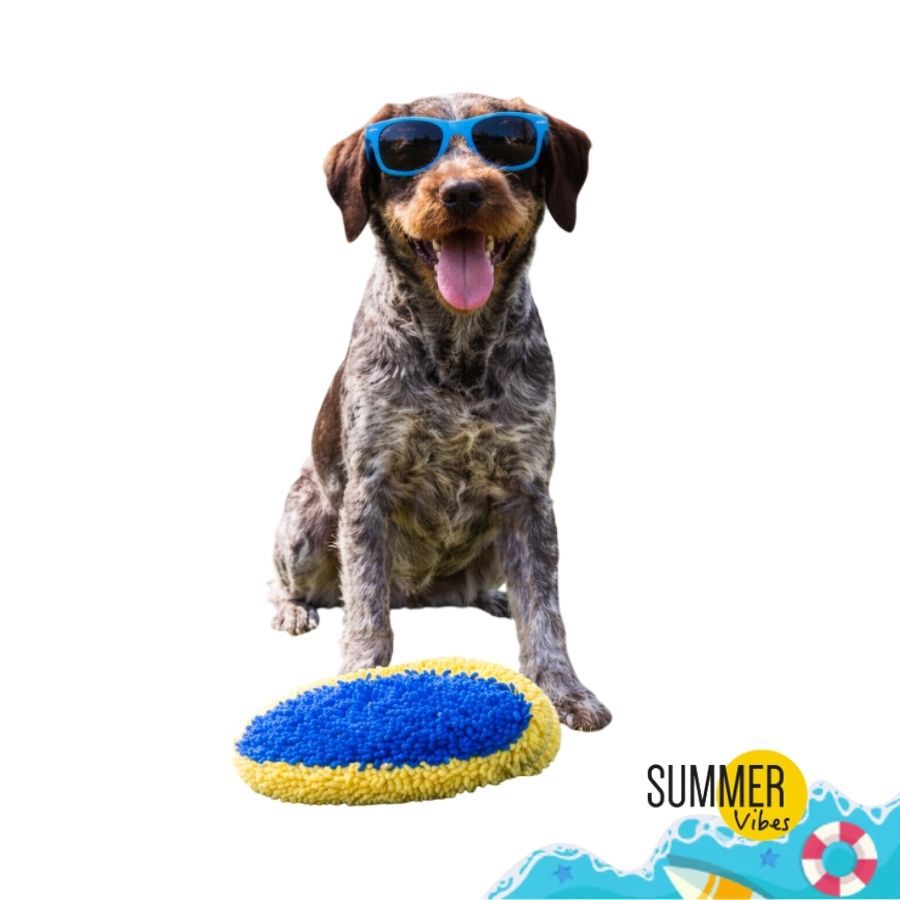 Summer Vibes Pelota Rugby Ovalado Flotante Peluche para perros, , large Imagen numero 7