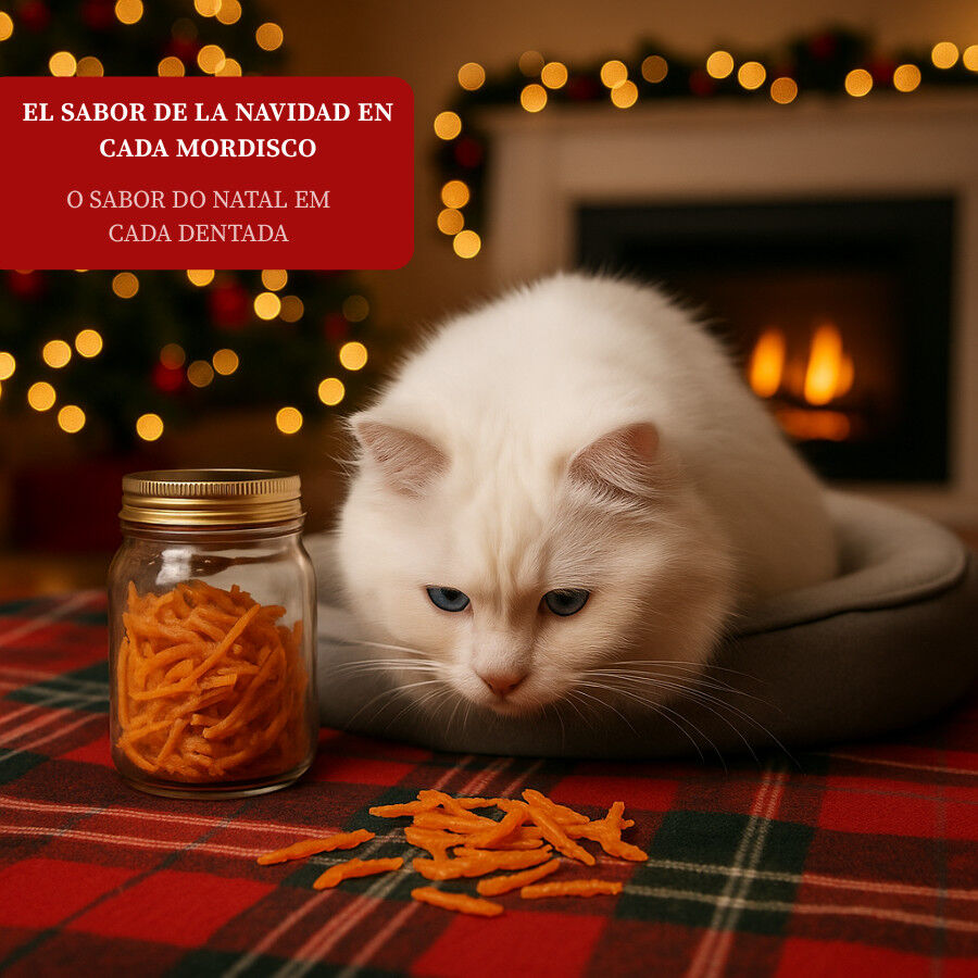 50 g Wonder Christmas Snack Navide&ntilde;o para gatos, , large indicador imagen numero 4