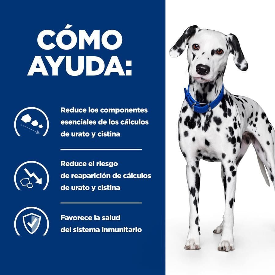 370 g Hill's Prescription Diet Urinary Care u/d lata para perros, , large indicador imagen numero 3