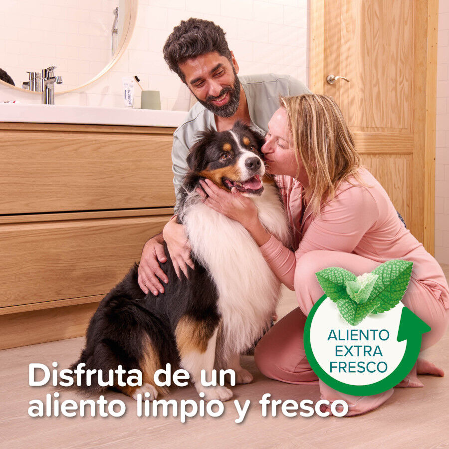 Beaphar Pasta Dental  Menta  Perejil para Perros y Gatos, , large Imagen numero 4