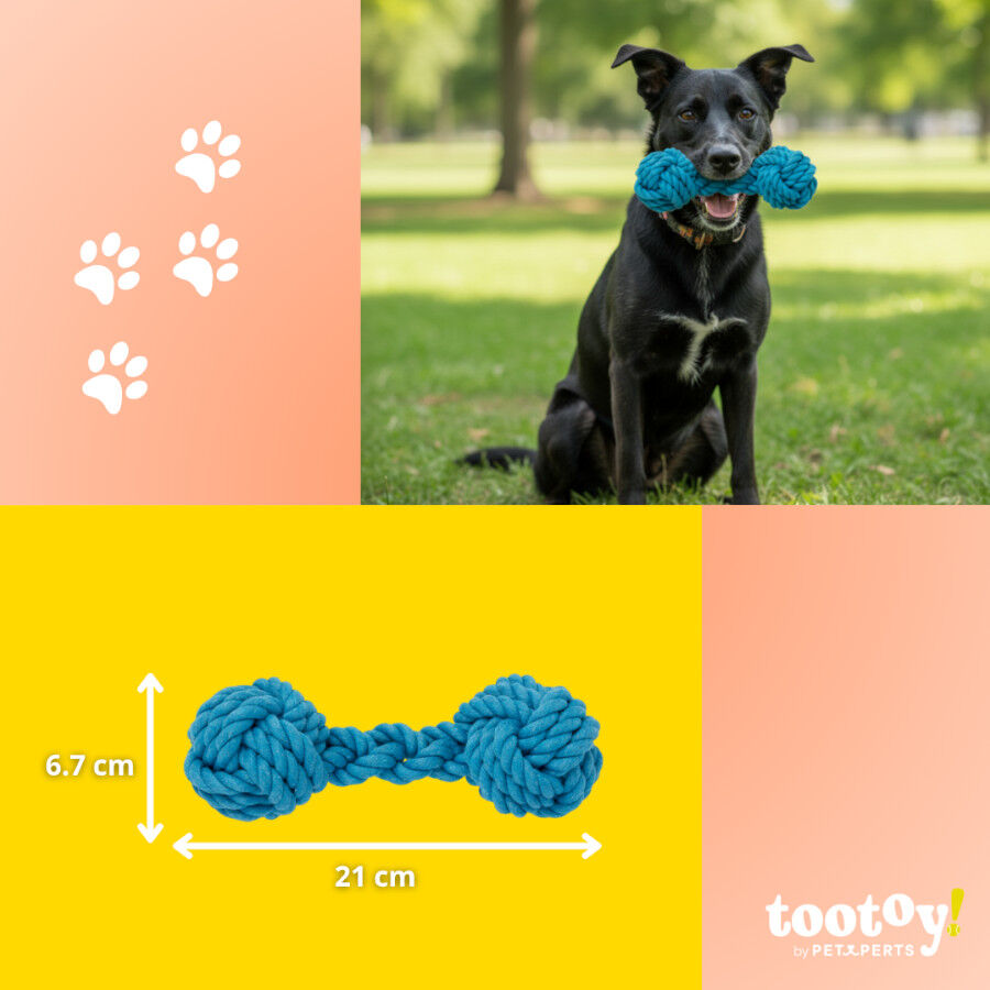 Tootoy! Hueso Mordedor de Cuerda Azul para perros, , large indicador imagen numero 4