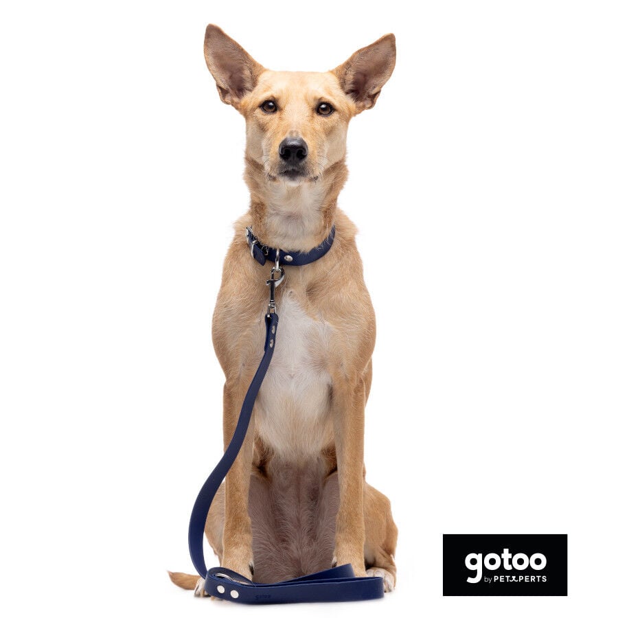 Gotoo Correa Biothane azul para perros, , large indicador imagen numero 3