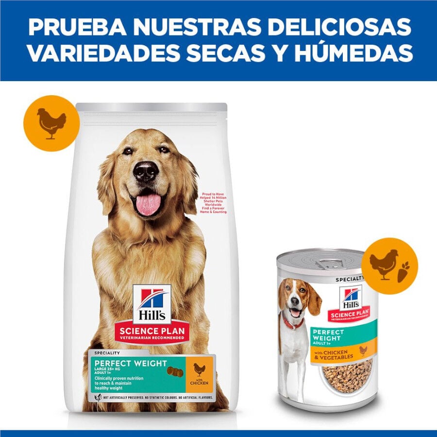 12 kg Hill's Science Plan Perfect Weight Adult Large Pollo pienso para perros, , large indicador imagen numero 6