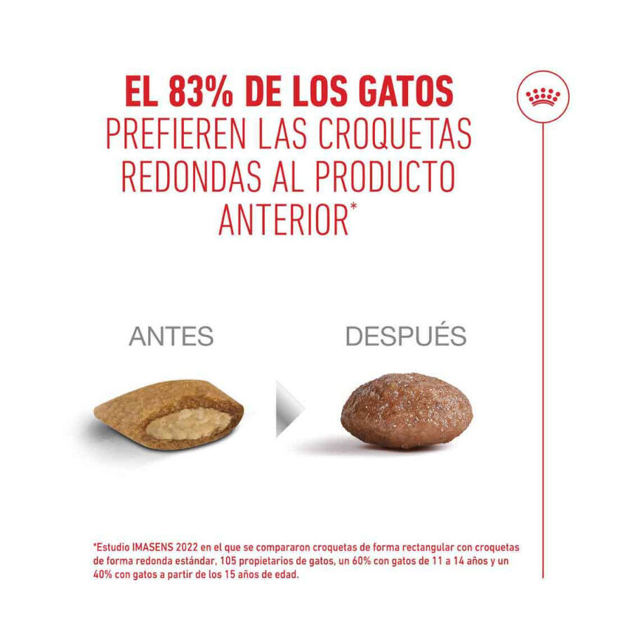 4 kg Royal Canin Ageing 11+ Sterilised pienso para gatos&nbsp;senior, , large indicador imagen numero 11