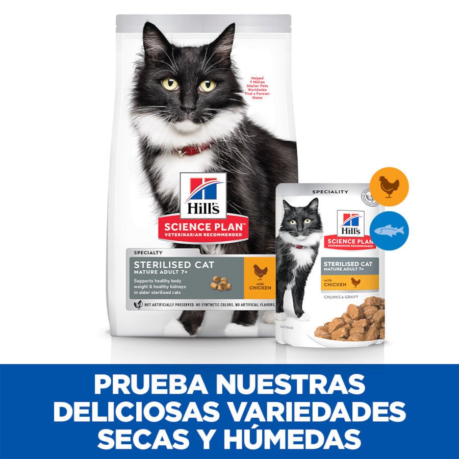 12 sobres x 85 g Hill's Science Plan Sterilised Mature Pollo en Salsa sobre para gatos, , large indicador imagen numero 4